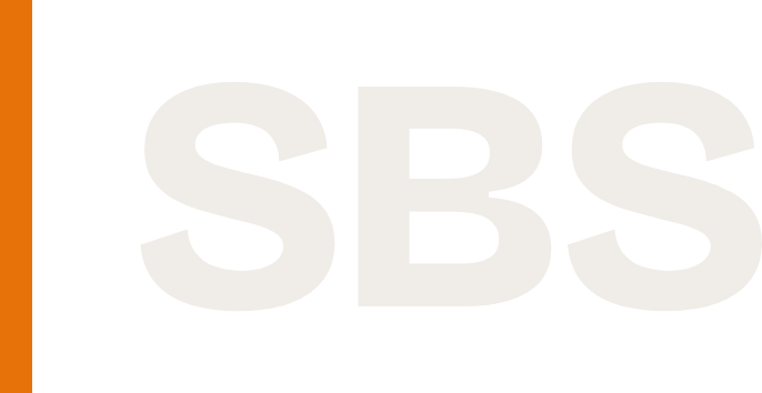 SBS · Solo Business Schmiede